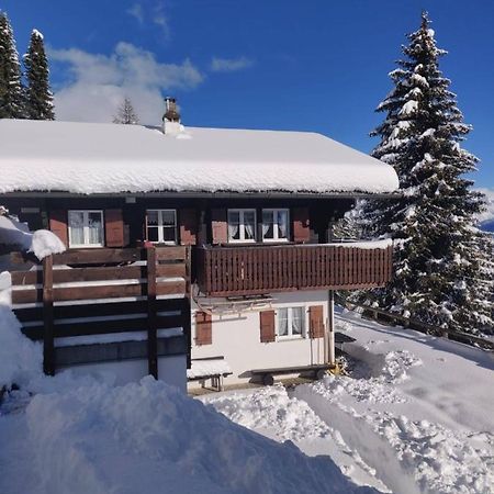 Chalet Grazia Riederalp Kültér fotó