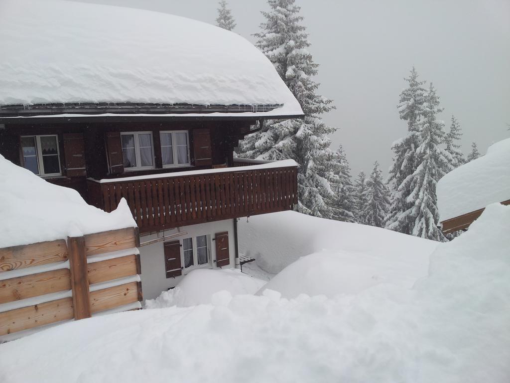 Chalet Grazia Riederalp Kültér fotó