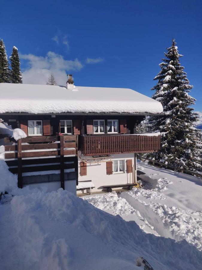 Chalet Grazia Riederalp Kültér fotó